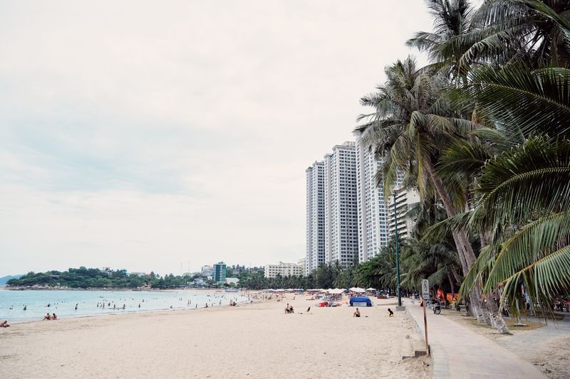 Coconut palms leaning over the sand near the apartment